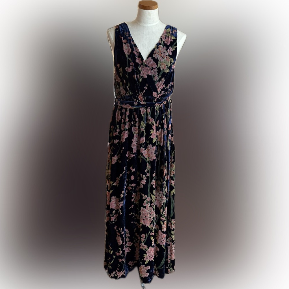 Baltic Born Lennon Floral velvet Sleeveless Maxi Dress - Blue and Pink